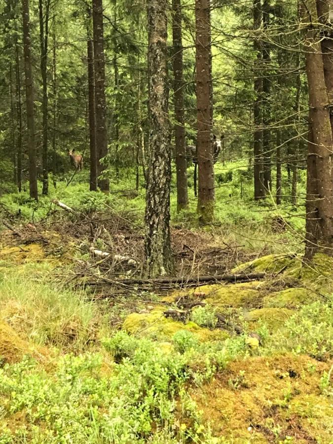 Sävekulla 207 Brygghuset Villa Älvsered Exteriör bild